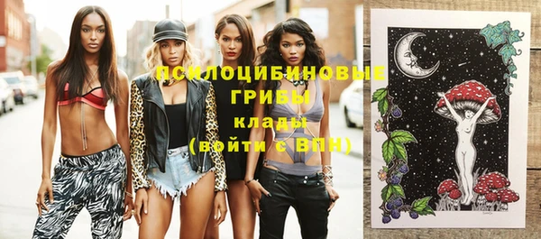 винт Баксан